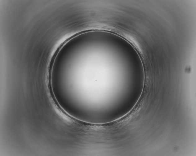 X0000091221136200708091403