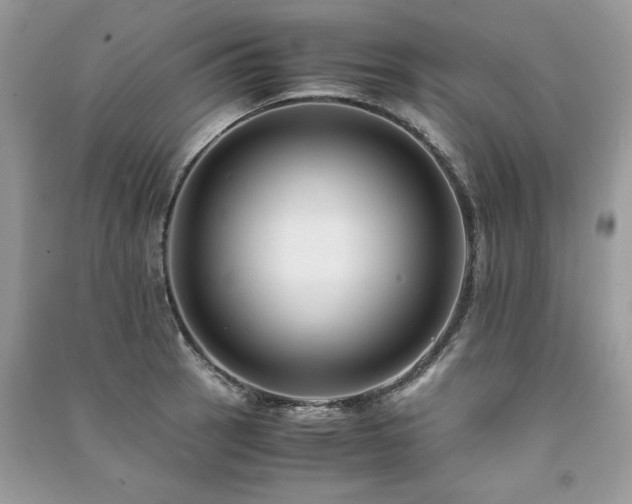 X0000091221137200708091403