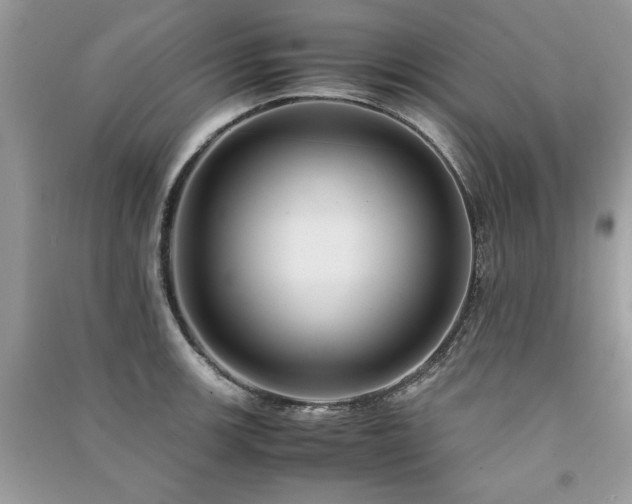X0000091221139200708091403