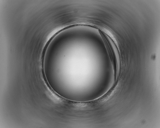 X0000091221141200708091403