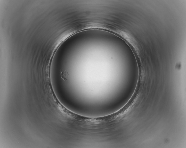 X0000091221145200708091403