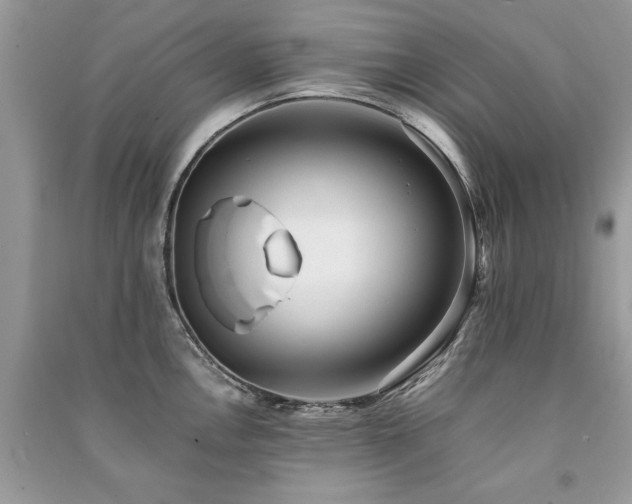X0000091221146200708091403