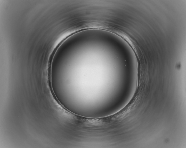 X0000091221147200708091403