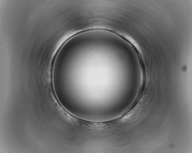 X0000091221148200708091403
