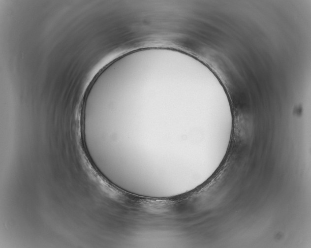 X0000091221150200708091403