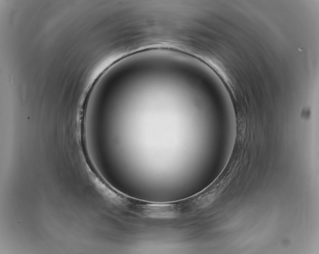 X0000091221151200708091403