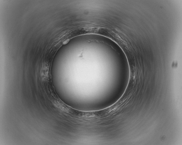 X0000091221154200708091402