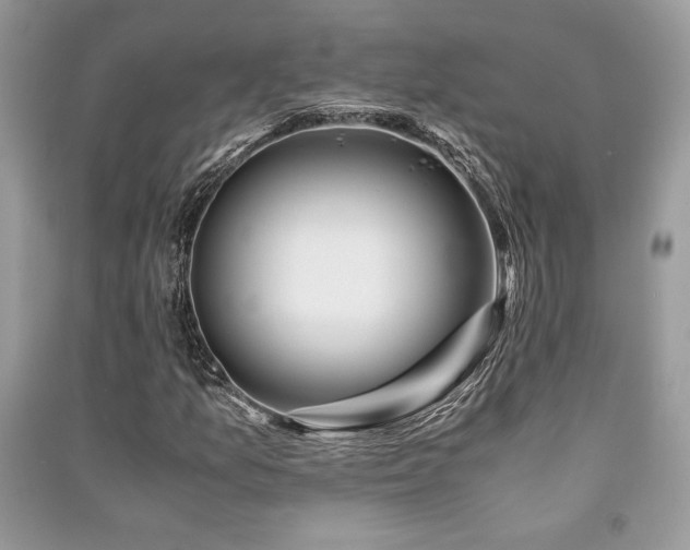 X0000091221157200708091402