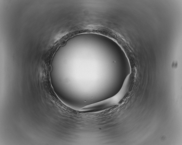 X0000091221158200708091402