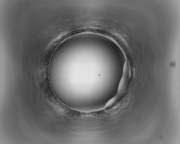 X0000091221159200708091402