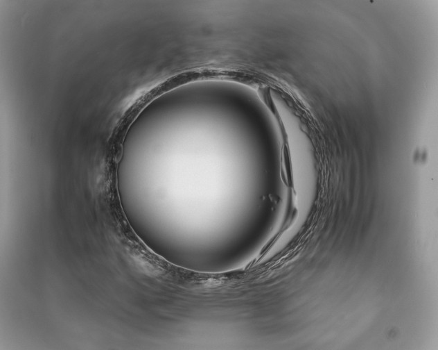 X0000091221160200708091402