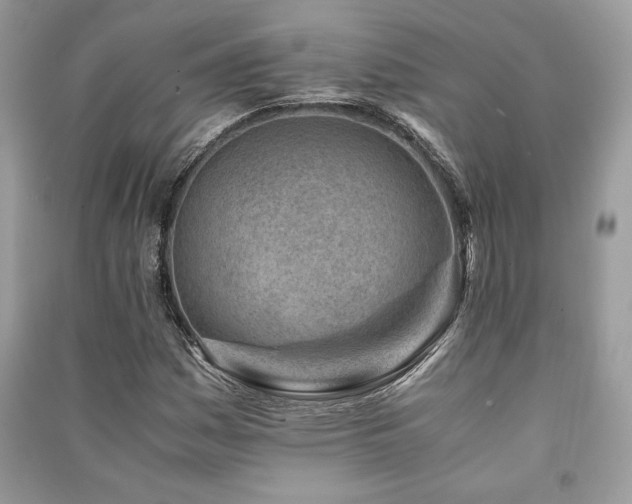 X0000091221161200708091402