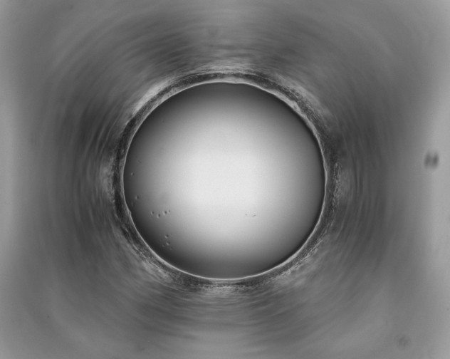 X0000091221162200708091402