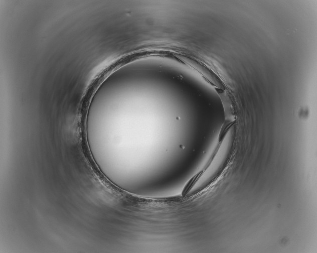 X0000091221164200708091402
