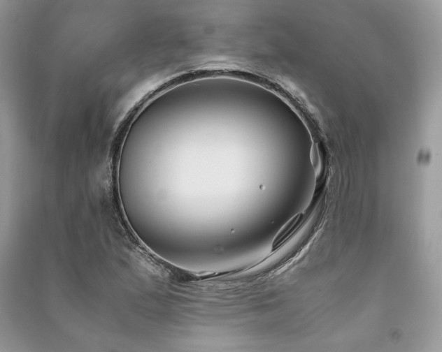 X0000091221167200708091402