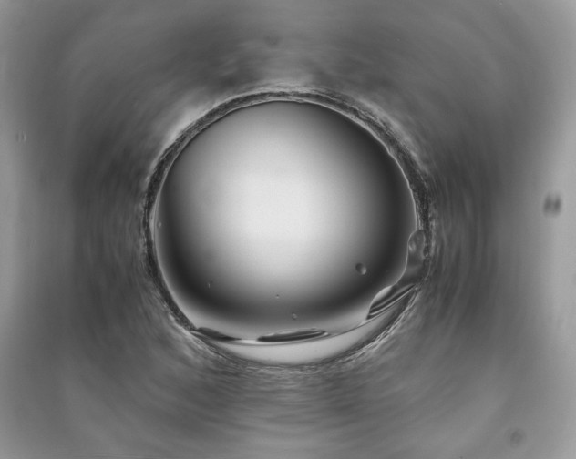 X0000091221168200708091402