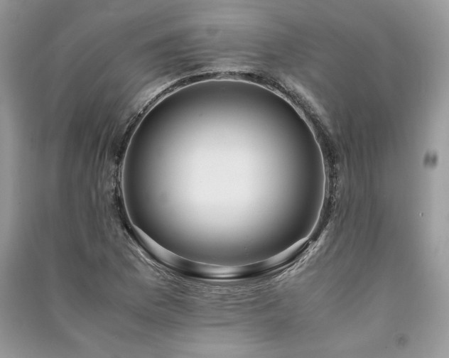 X0000091221169200708091402