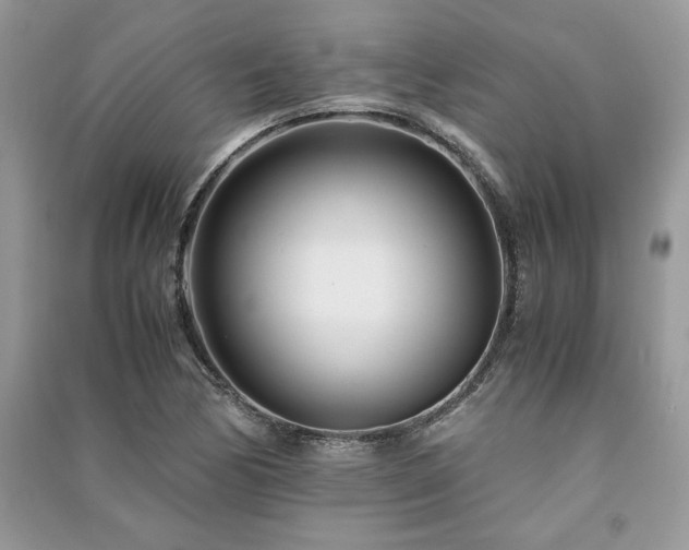 X0000091221170200708091402