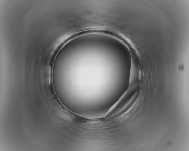 X0000091221171200708091402