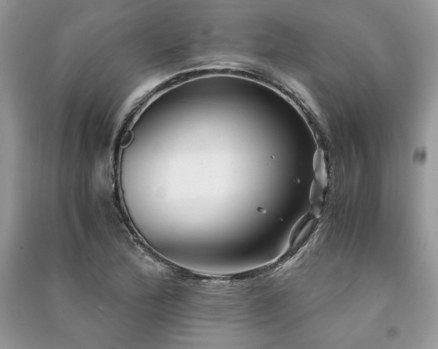 X0000091221172200708091402