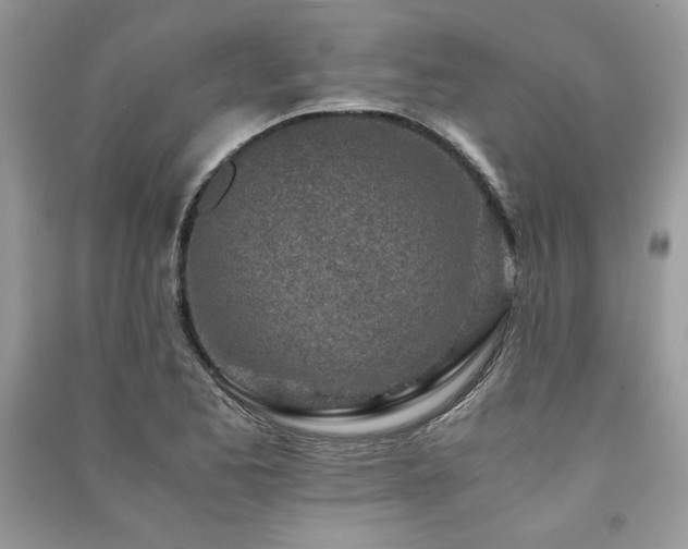 X0000091221173200708091402