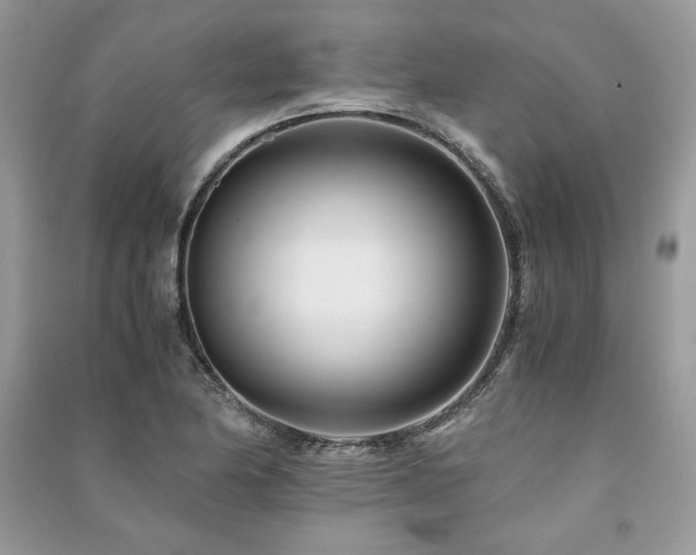 X0000091221174200708091402