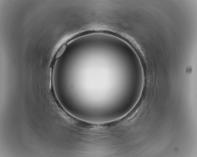 X0000091221175200708091402