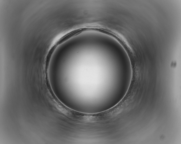 X0000091221176200708091402