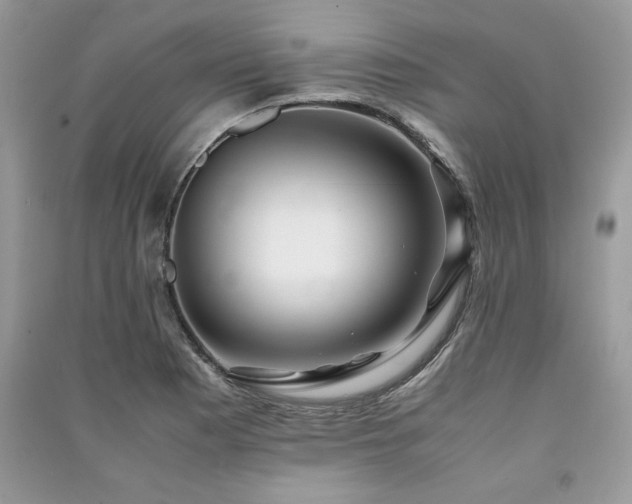 X0000091221177200708091402