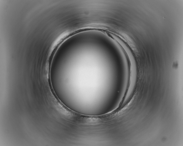 X0000091221180200708091402