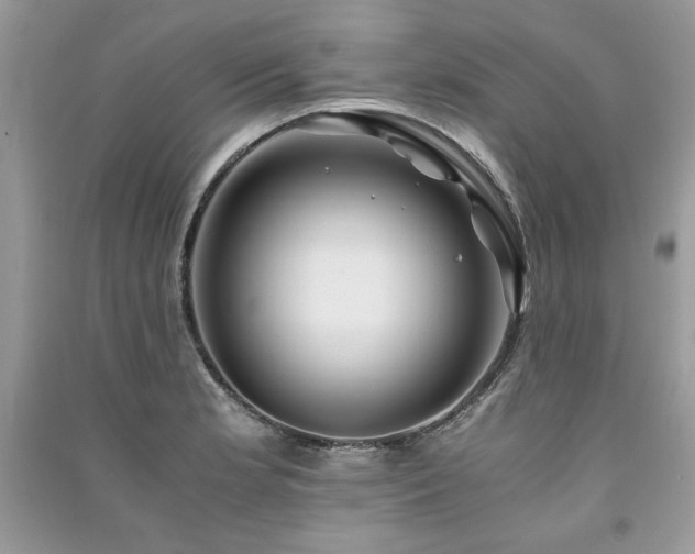 X0000091221181200708091402