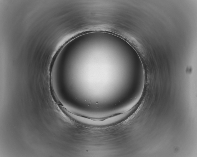 X0000091221184200708091402