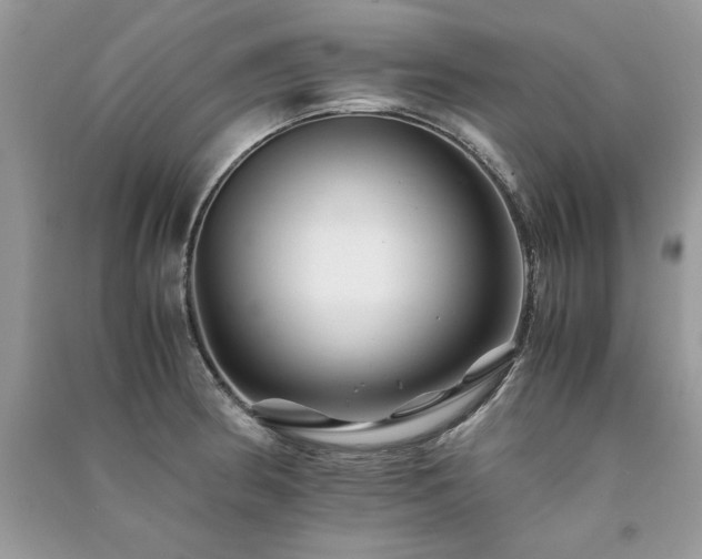 X0000091221186200708091402