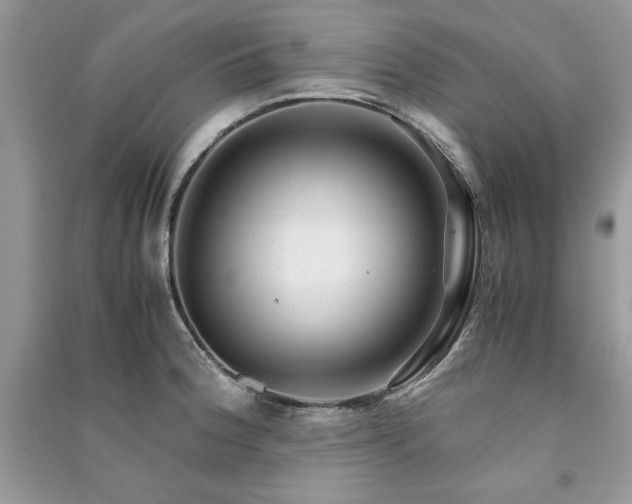X0000091221188200708091402