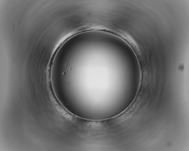 X0000091221190200708091402