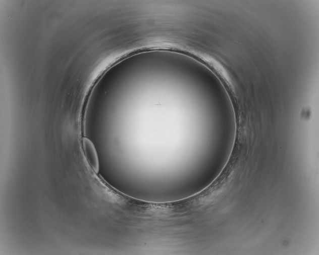 X0000091221191200708091402