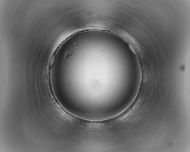 X0000091221192200708091402