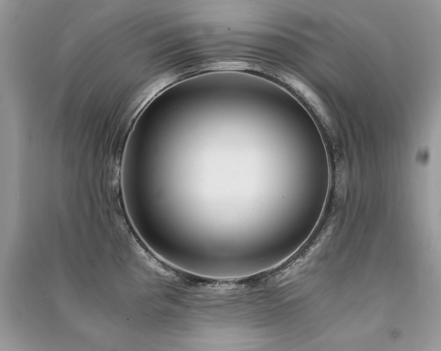X0000091221193200708091402