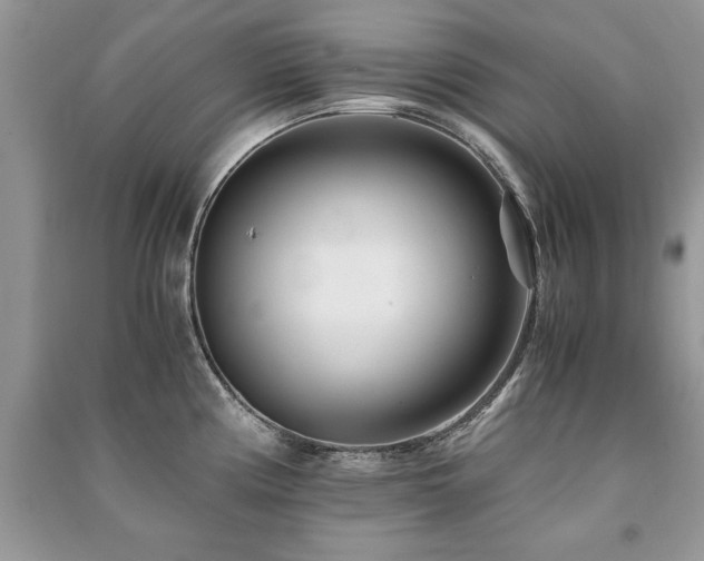 X0000091221194200708091402