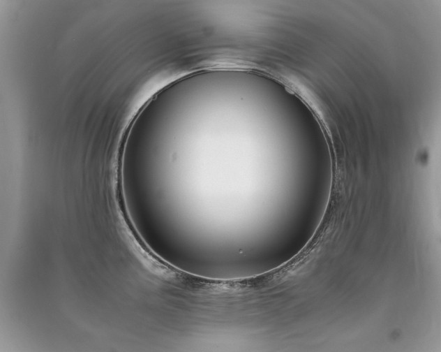 X0000091221195200708091402
