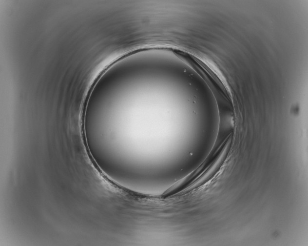 X0000091221197200708091401