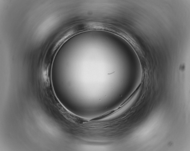 X0000091221198200708091401