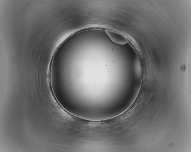 X0000091221199200708091401