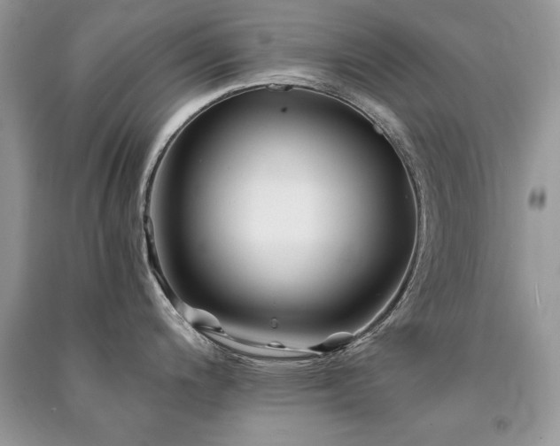 X0000091221200200708091401