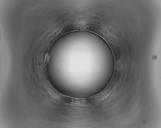 X0000091221201200708091401