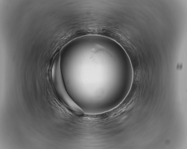 X0000091221202200708091401