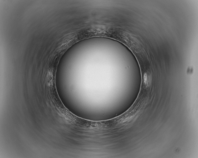 X0000091221203200708091401