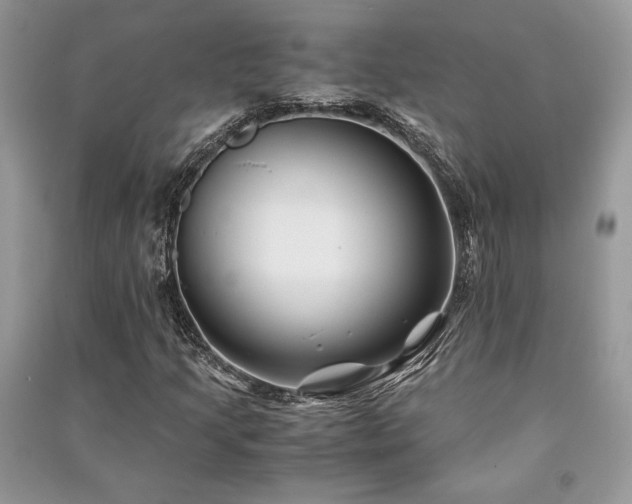 X0000091221205200708091401
