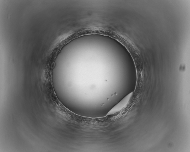 X0000091221207200708091401