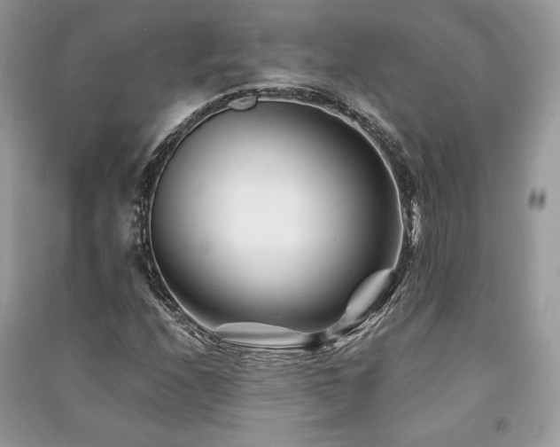X0000091221208200708091401